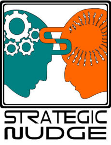 Strategic Nudge Logo